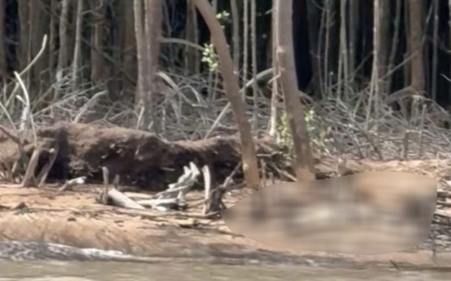 Phát hiện thi thể mất bàn tay chân, không quần áo ở Cà Mau