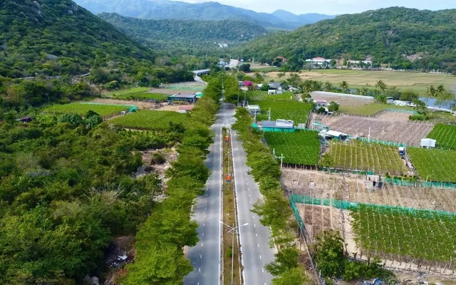 Dự án điện hạt nhân Ninh Thuận 2: Vì sao phải chọn nơi xây khu tái định cư mới?