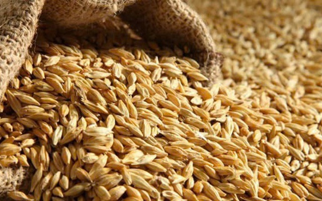 Đường Man của đại gia Đường ‘bia’ báo nợ phải trả gấp 174 lần vốn chủ sở hữu