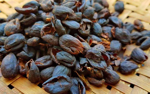 Loại vỏ quả người Việt từng vứt bỏ nay được săn lùng: Chế biến thành "đặc sản thế giới" giá tiền triệu/kg