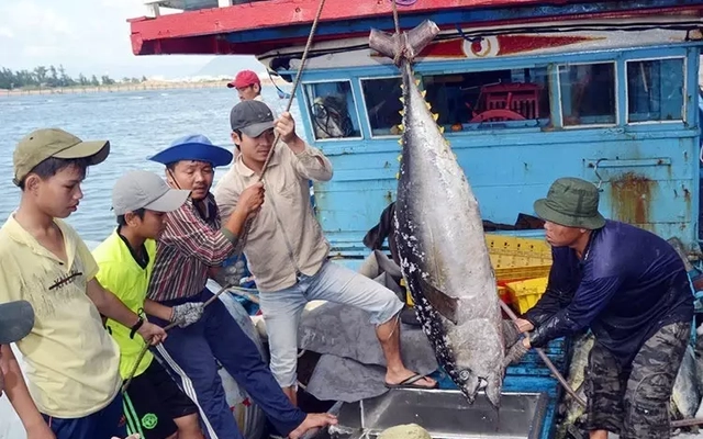 Thủy sản Việt Nam trước nguy cơ mất thị trường 500 triệu USD