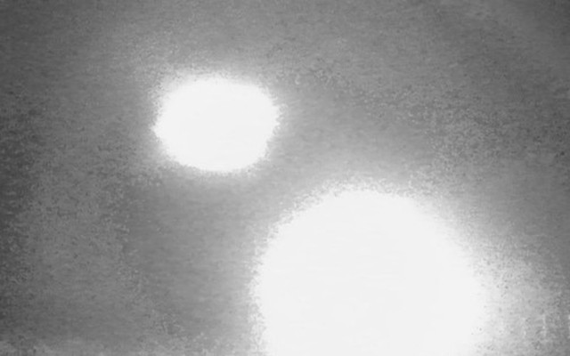 Đặt camera ẩn trong rừng hoang, phát hiện hình ảnh sốc