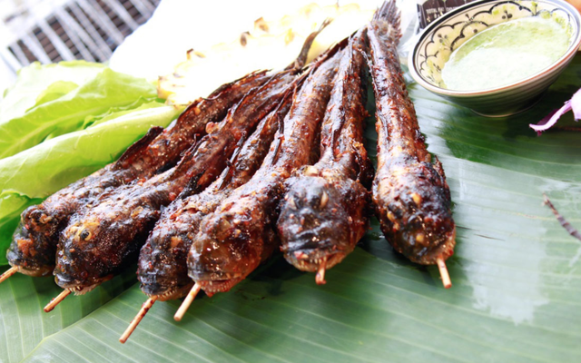 Loài sinh vật kỳ lạ nhất hành tinh có mặt ở miền Tây, ai ngờ lại thành món đặc sản "phá mồi"