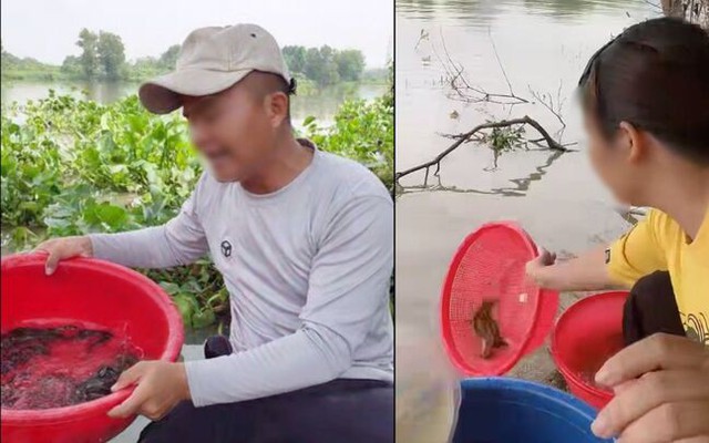 Phóng sinh online: Nhận chuyển khoản thả động vật, khác gì bắt cóc tống tiền