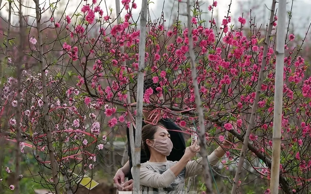 Tết Nguyên đán 2026 được nghỉ bao nhiêu ngày?