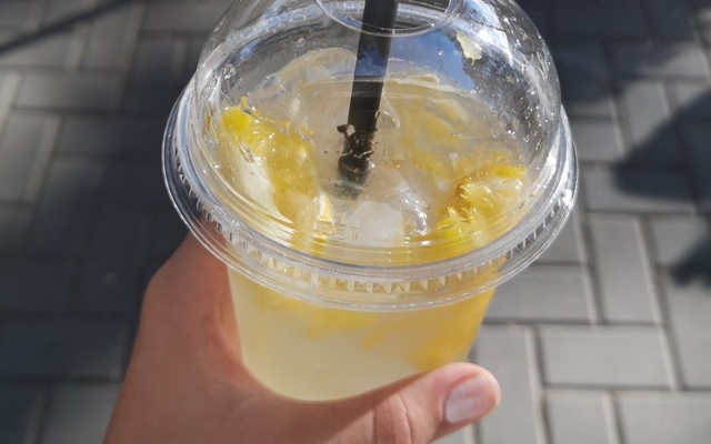 Đã tìm ra 4 món giúp phòng viêm vùng kín: Nữ giới bước qua tuổi 30 càng phải chăm ăn