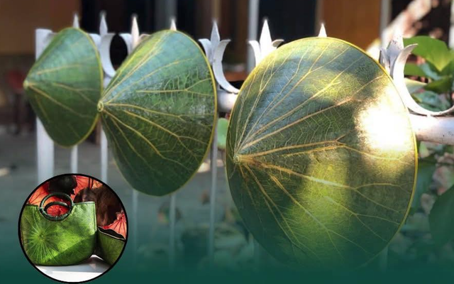 Từng chỉ để gói xôi, loại lá phế phẩm nay hóa thành túi xách, nón lá vươn ra quốc tế