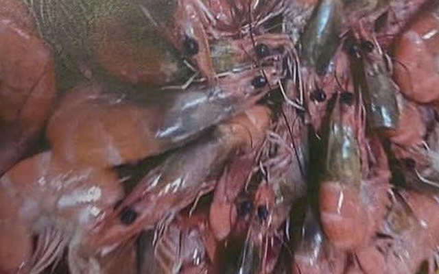 Sẽ kiểm tra đột xuất các bếp ăn bán trú để ngăn thực phẩm bẩn vào trường học