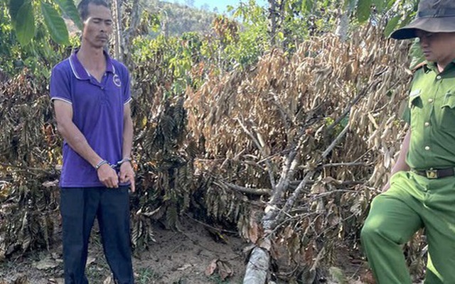 Xử phạt anh rể phá vườn cây "đòi quan hệ với em vợ"