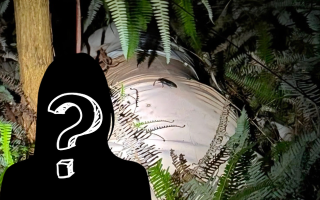 Vụ thi thể nữ giới đang phân hủy trong bao tải: Danh tính nạn nhân và mối quan hệ bí ẩn