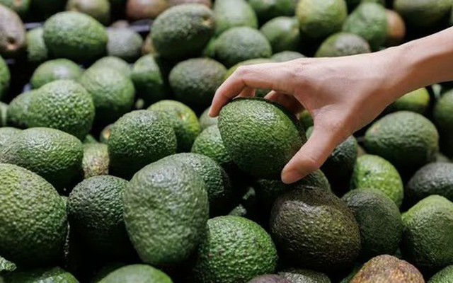 Cách chọn bơ "chín hoàn hảo" tại siêu thị: Chỉ cần làm đúng 3 bước sau đây