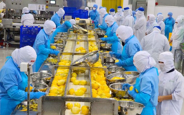 Từng bị coi là rác, một loại vỏ quả Việt Nam nay hóa thành “mỏ vàng” giúp doanh nghiệp thu tiền tỷ mỗi năm