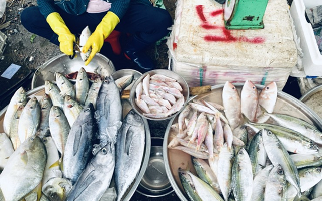 Chủ hàng cá nói thẳng: 3 loại thịt cá cho thêm tiền cả nhà tôi cũng chẳng dám ăn