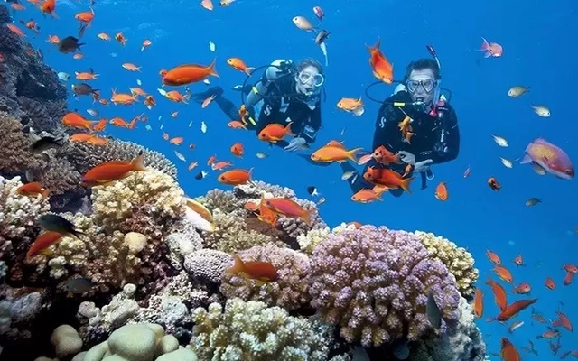 Hai thợ lặn ở Quảng Trị gặp sự cố dẫn đến tử vong