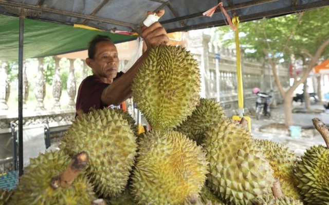 Không phải Thái Lan, làn sóng sầu riêng đang bùng nổ tại quốc gia Đông Nam Á: Công ty bất động sản, dầu cọ đổ xô đi trồng sầu riêng, giá bán tăng gần gấp 4 lần