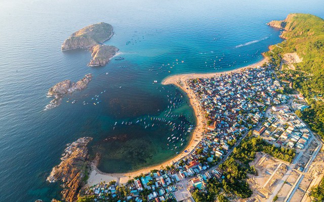 Việt Nam ngồi trên "kho báu" khổng lồ: Mỗi năm có thể thu về 1,9 tỷ USD từ thị trường toàn cầu