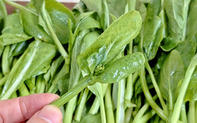 3 loại rau mùa thu được gọi là 'vua canxi', ai cũng nên ăn thường xuyên