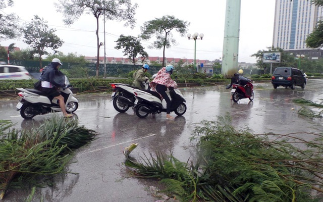 Tin mới nhất về cơn bão số 10: Miền Bắc sắp mưa to đến rất to