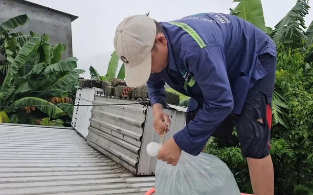 Người dân Huế dùng ‘cách lạ’ chằng chống nhà cửa trước bão gió ra sao?