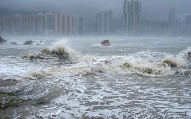 Bắt 4 đối tượng đưa con nhỏ đi ngắm sóng biển vào thời điểm bão Ragasa đổ bộ: Có thể ngồi tù 14 ngày