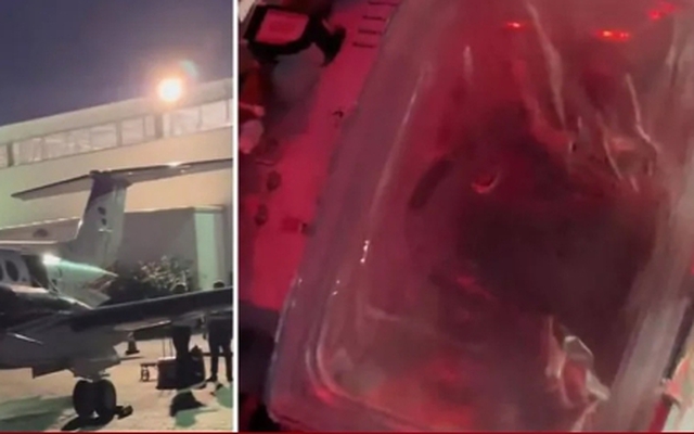 Clip trái tim đang đập trong hộp chờ cấy ghép thu hút 24 triệu lượt thích