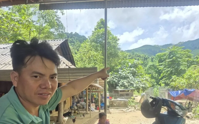 Truy tìm đàn sói hoang ở Điện Biên: Bài 1 - Đòn tấn công đặc trưng của loài sói