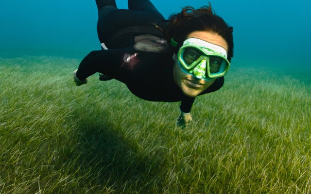 Thế giới bùng nổ nhu cầu tín chỉ Blue Carbon: Đẩy giá cao kỷ lục vào cuối tháng 8/2025