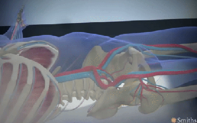 Bí mật bên trong lò hỏa táng