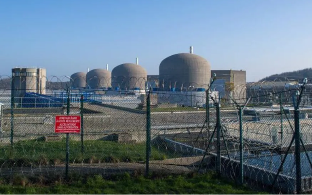 Sinh vật không não nhưng đủ sức khiến hai nhà máy điện hạt nhân lớn nhất nhì đất nước phải “tê liệt”