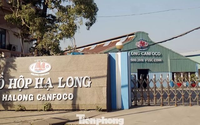 Vụ patê 'dính' thịt bệnh: Tạm dừng sản xuất tại nhà máy đồ hộp Hạ Long - Hải Phòng