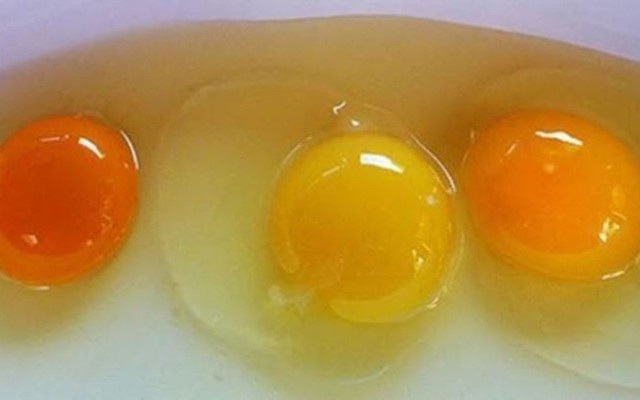Đập trứng gà ra bát thấy lòng đỏ đậm và nhạt khác nhau, loại nào nhiều chất hơn?