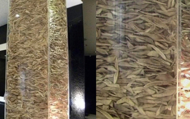 Bức ảnh khiến nhiều người sởn gai ốc tại 1 phòng khám phẫu thuật thẩm mỹ khu Gangnam Hàn Quốc