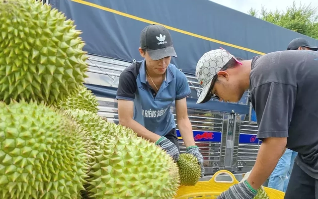 Truy xuất nguồn gốc nông sản theo lộ trình mới