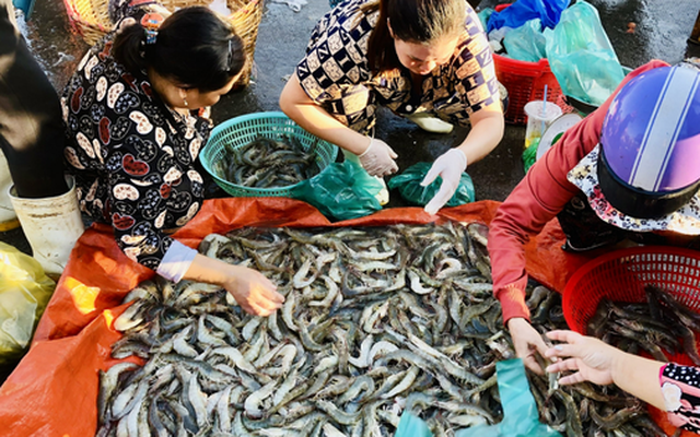 Mẹ chồng "ngồi vẽ" cho con dâu cách tiết kiệm mà nàng dâu chỉ biết "á với ố"