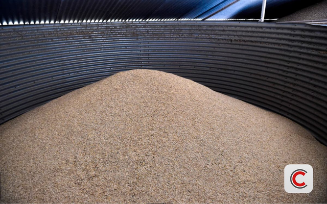 Nhiều quốc gia ráo riết dự trữ ngũ cốc, đổ hàng chục tỷ USD xây kho tích trữ lương thực