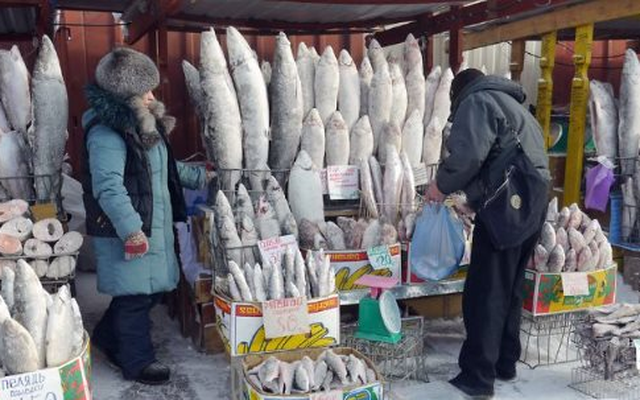 Không phải dầu thô hay khí đốt, một mặt hàng của Nga được người châu Âu cực mê: Chi hơn 700 triệu euro mua hàng, giá cao nhất trong nhiều năm