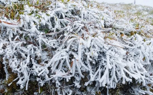 Tin gió mùa đông bắc mới nhất: Bao giờ miền Bắc chuyển mưa rét đến 6 độ C?