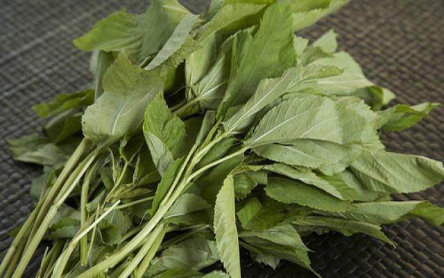 Việt Nam có loại rau nhiều sắt hơn thịt bò: Bổ tim, ngừa ung thư nhưng nhiều người chê không ăn