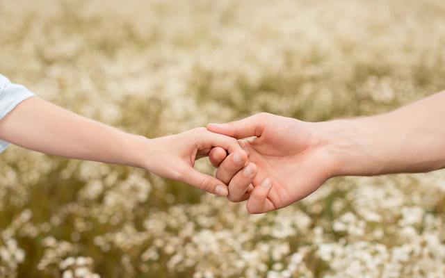 Loại gia vị “nhỏ hơn ngón tay” mang về 2.600 tỷ cho Việt Nam