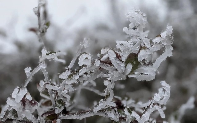 Tiết Đại hàn 2026 bao giờ kết thúc?