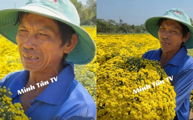 Đau xé lòng cảnh chủ vườn hoa tại Sa Đéc bật khóc giữa vườn hoa cúc hơn 2.000 chậu hoa cúc nở sớm không ai mua