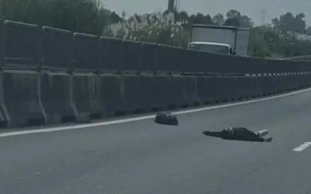 Khởi tố hai đối tượng liên quan vụ người nước ngoài tử vong trên cao tốc Trung Lương - Mỹ Thuận