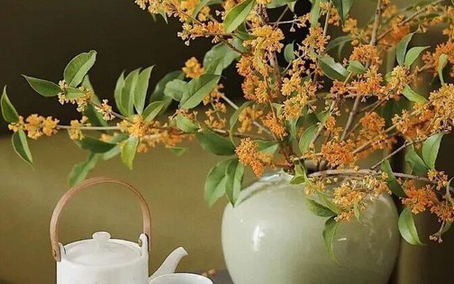 9/10 gia đình giàu lên theo năm tháng đều có chung 1 điểm: Trong nhà luôn có 1 trong 3 loại cây này