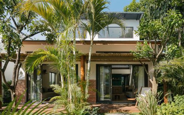 6 loại cây được người xưa khuyên nên trồng vào đầu năm để cầu công danh, tài lộc