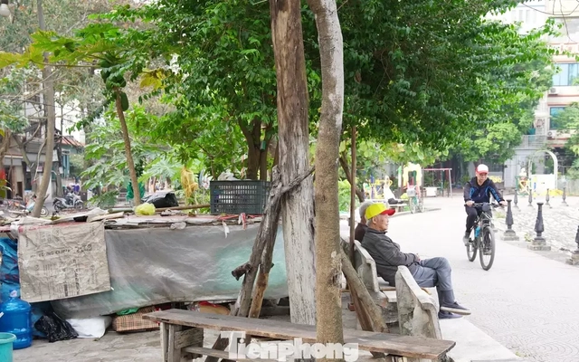 Công viên tại trung tâm Hà Nội bị hàng quán lấn chiếm, bãi cỏ thành nơi trồng rau
