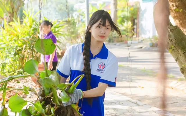 Phường ở TPHCM dựng phao chắn rác, thả cá, động vật thủy sinh xuống dòng kênh xanh