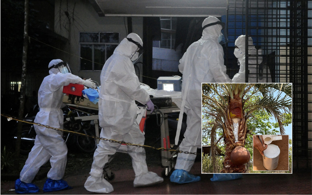 Một thức uống phổ biến trong đám cưới bị nghi là nguồn lây virus Nipah trong ca nhiễm đầu tiên tại Ấn Độ