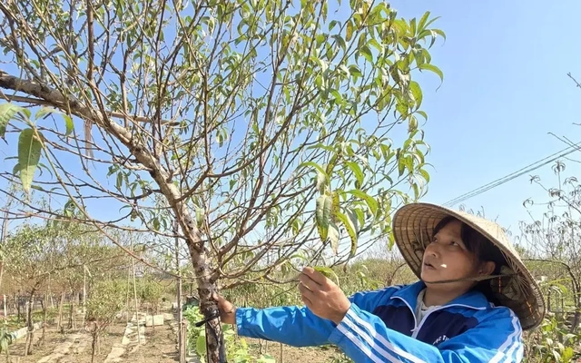 Trục đại lộ cảnh quan sông Hồng: Chỗ đứng nào cho làng nghề truyền thống?