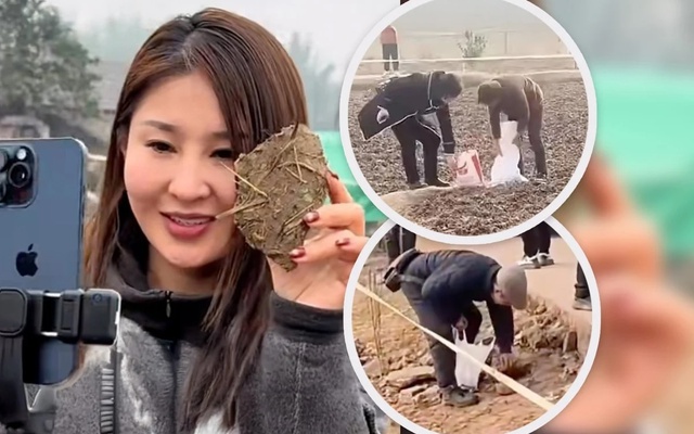 'Cơn cuồng hot girl mổ lợn Tết’ và biến tướng mua bán ‘đất may mắn’ ở Trung Quốc