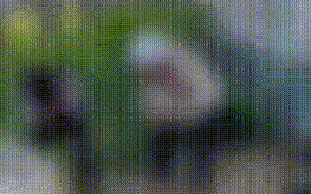 Đoạn clip 23 giây ở Cà Mau gây "bão" mạng xã hội